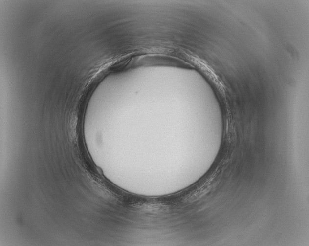 X0000115610201200912081009