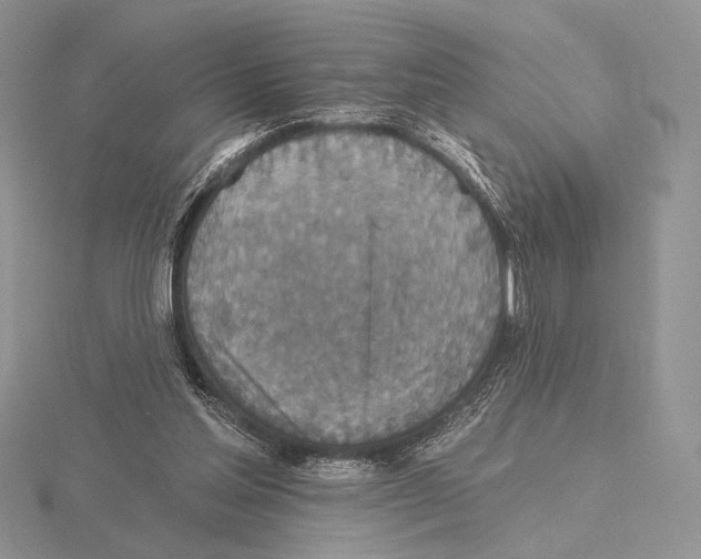X0000115610205200912081009