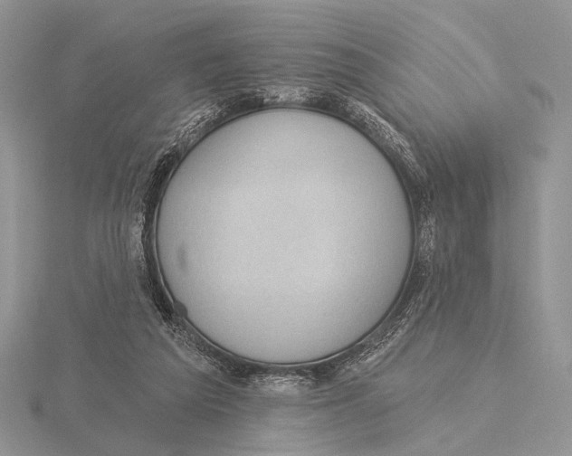 X0000115610209200912081009