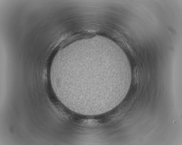 X0000115610212200912081009