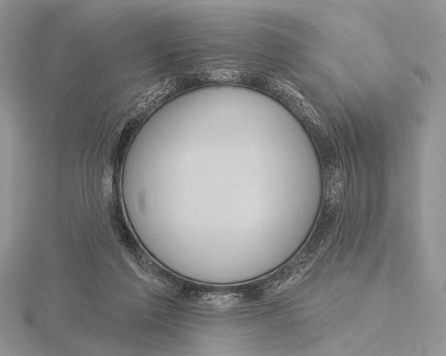 X0000115610213200912081009