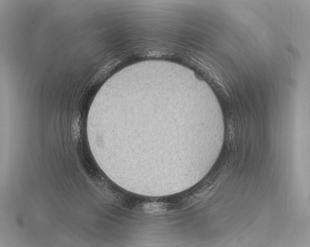 X0000115610216200912081009
