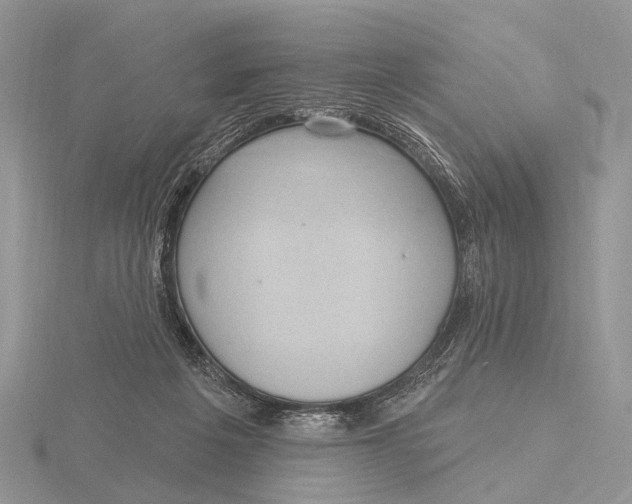 X0000115610217200912081009