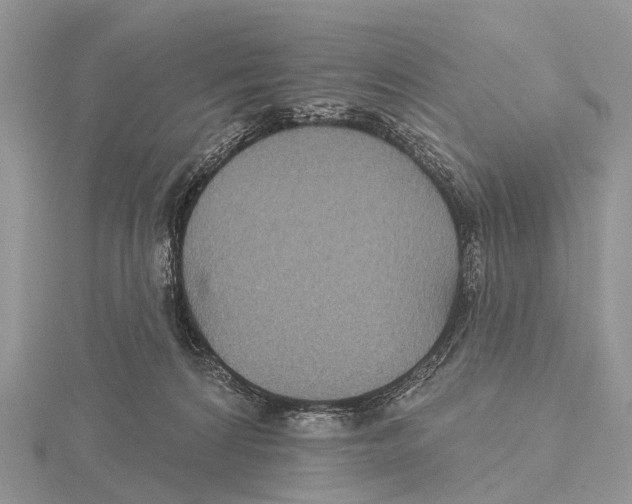 X0000115610224200912081009