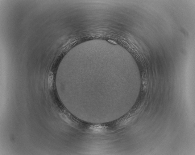 X0000115610231200912081009