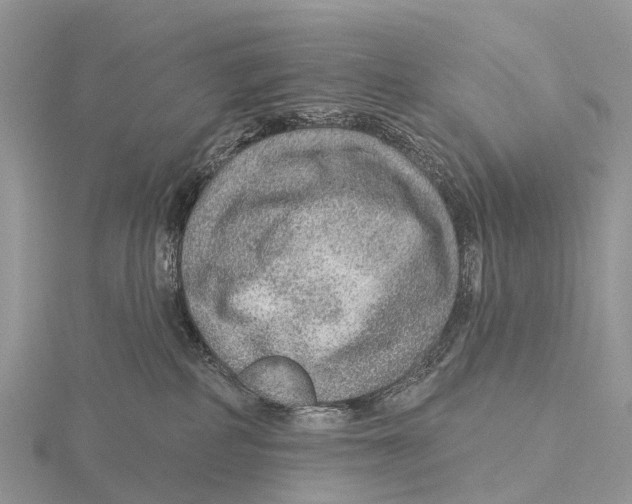 X0000115610234200912081008