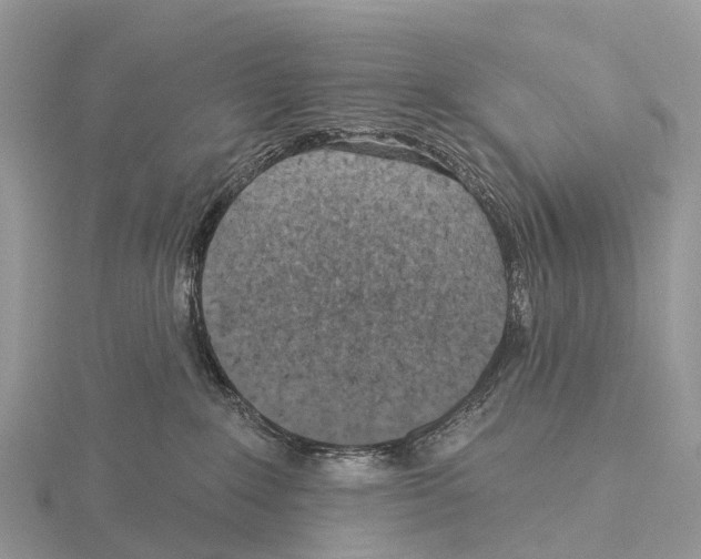 X0000115610235200912081008