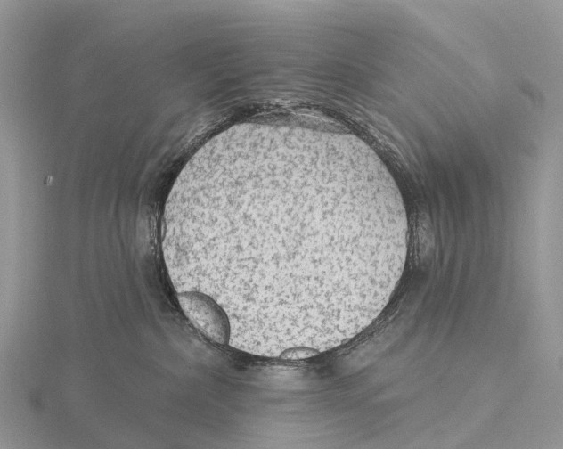 X0000115610236200912081008