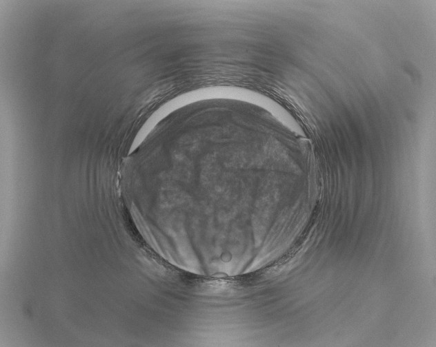 X0000115610237200912081008