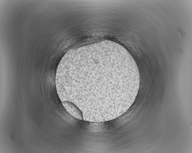 X0000115610240200912081008