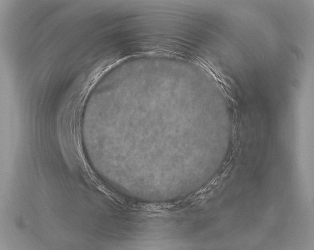 X0000115610241200912081008