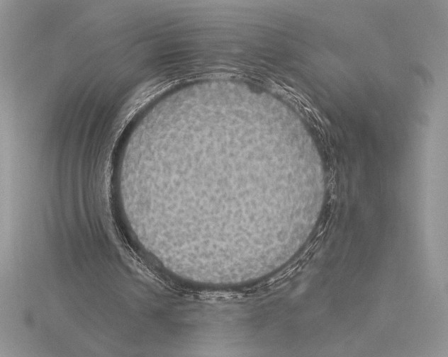 X0000115610242200912081008