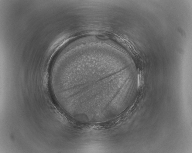 X0000115610243200912081008