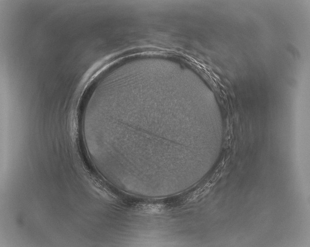 X0000115610247200912081008