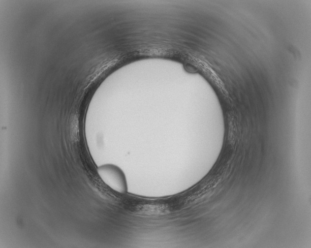 X0000115610251200912081008