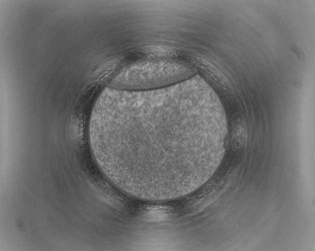 X0000115610268200912081008