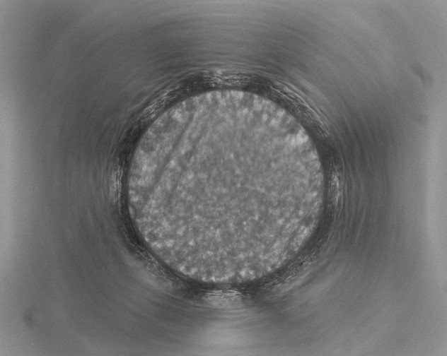 X0000115610271200912081008