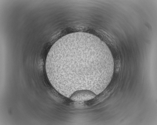 X0000115610279200912081008
