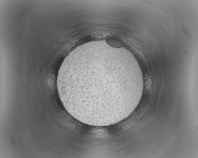 X0000115610283200912081008