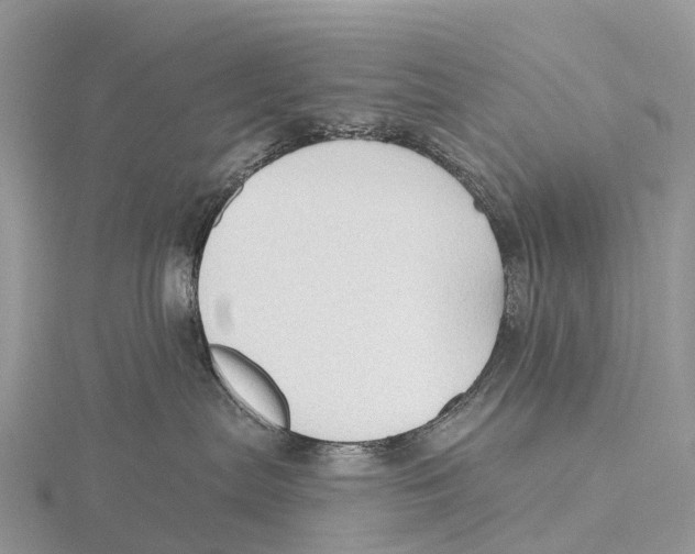 X0000115610287200912081008