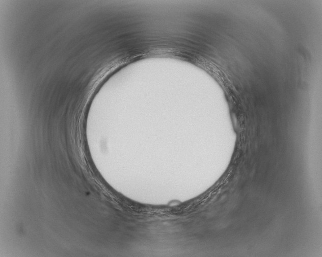 X0000115610289200912081008