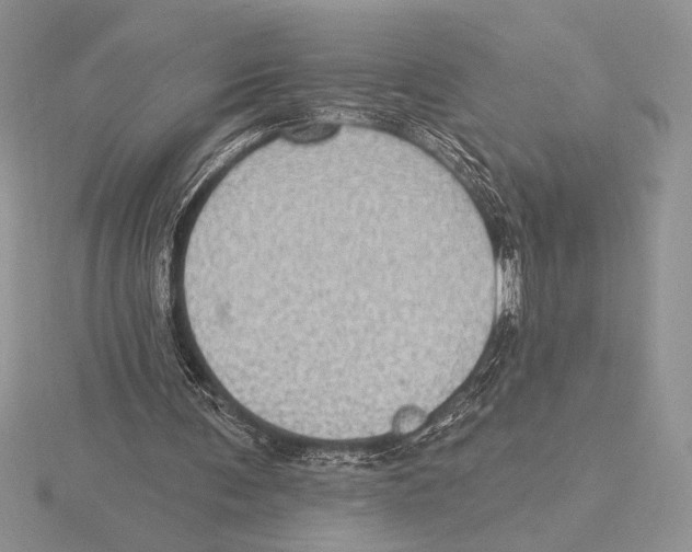 X0000115610291200912081008