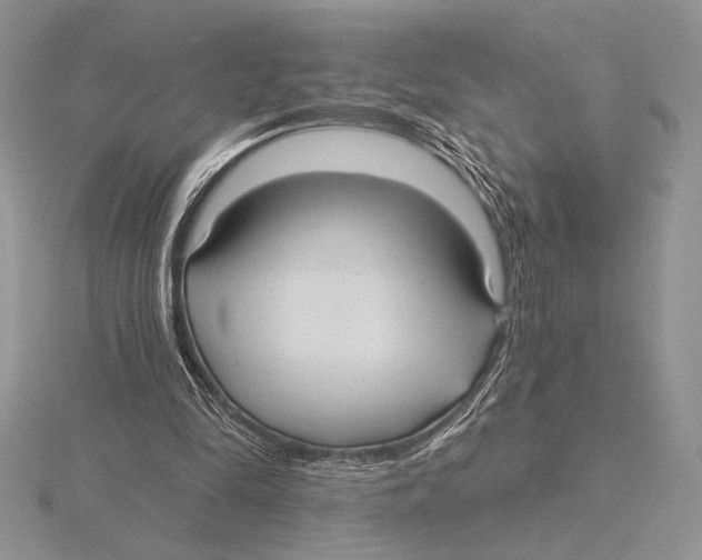X0000115610294200912081008