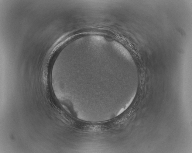 X0000115610295200912081008