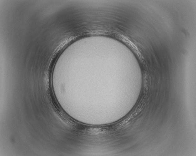 X0000115610298200912081008