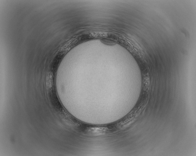X0000115610323200912081007