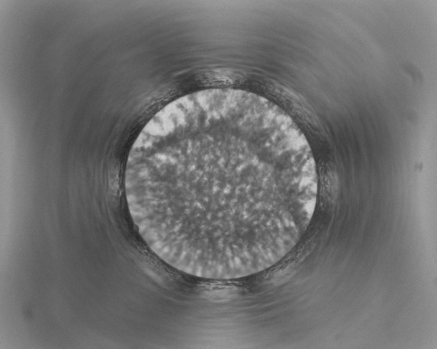 X0000115610331200912081007