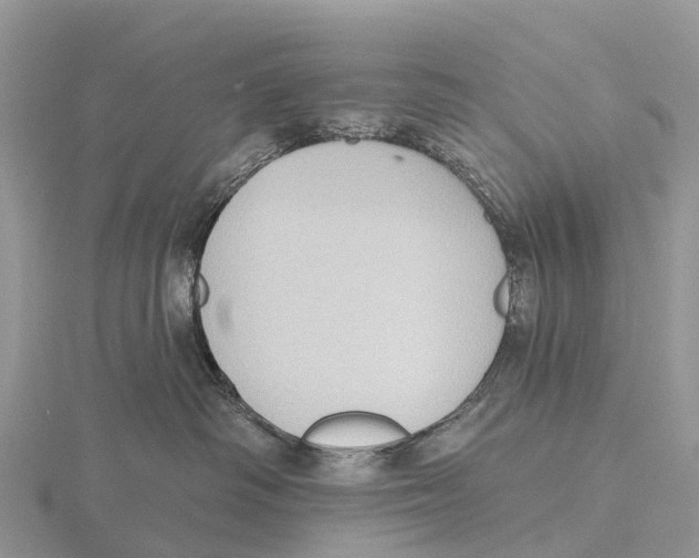 X0000115610334200912081007