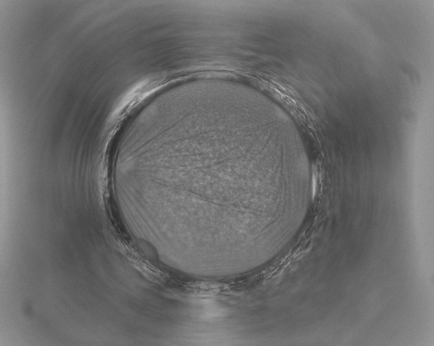 X0000115610339200912081007