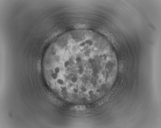 X0000115610353200912081007
