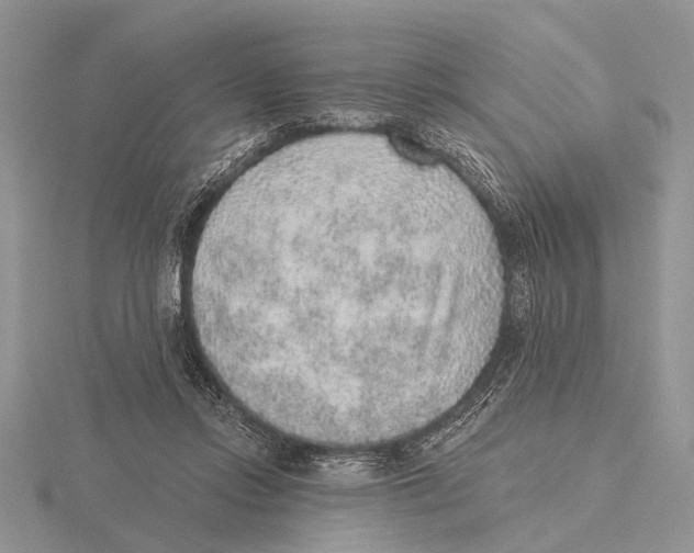 X0000115610358200912081007