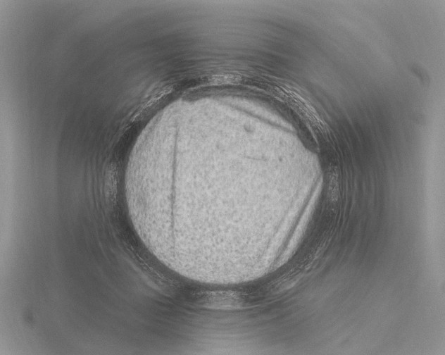 X0000115610363200912081007