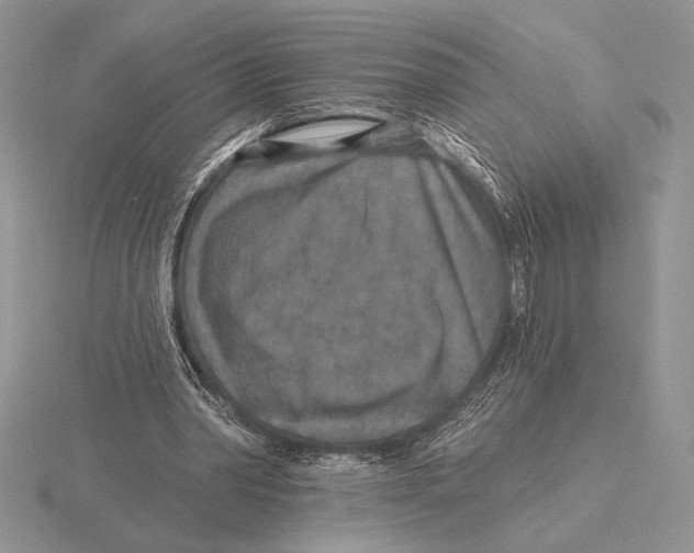 X0000115610390200912081006