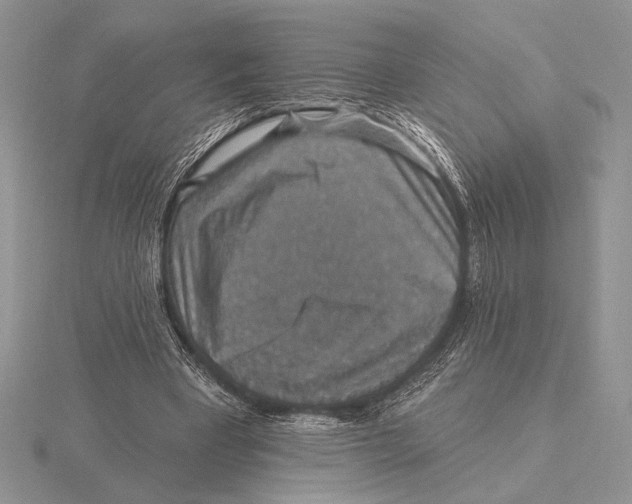 X0000115610393200912081006