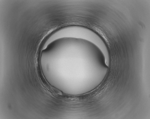 X0000115610395200912081006