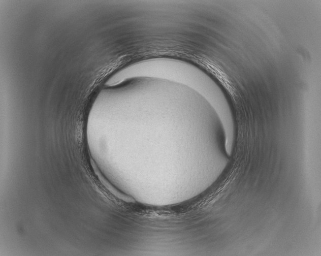 X0000115610401200912081006
