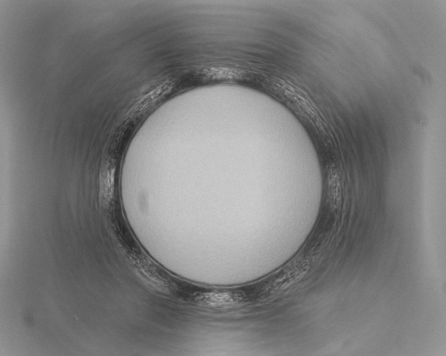 X0000115610406200912081006