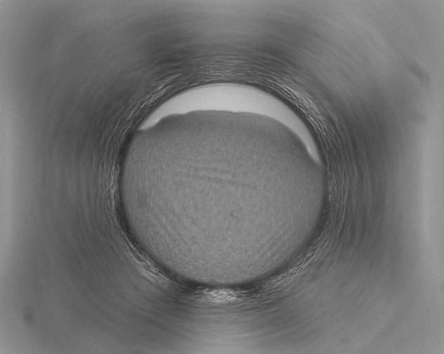 X0000115610409200912081006