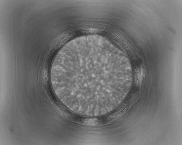 X0000115610410200912081006
