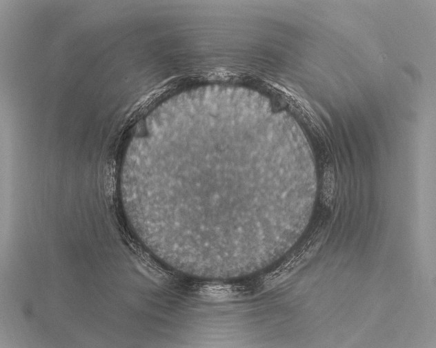 X0000115610413200912081006