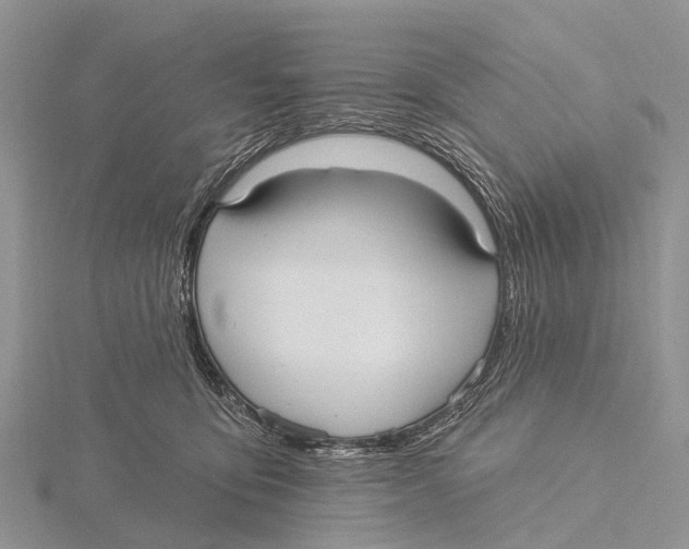 X0000115610419200912081006