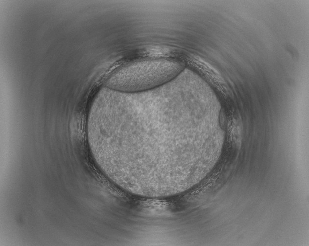 X0000115610421200912081006