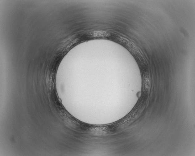 X0000115610422200912081006