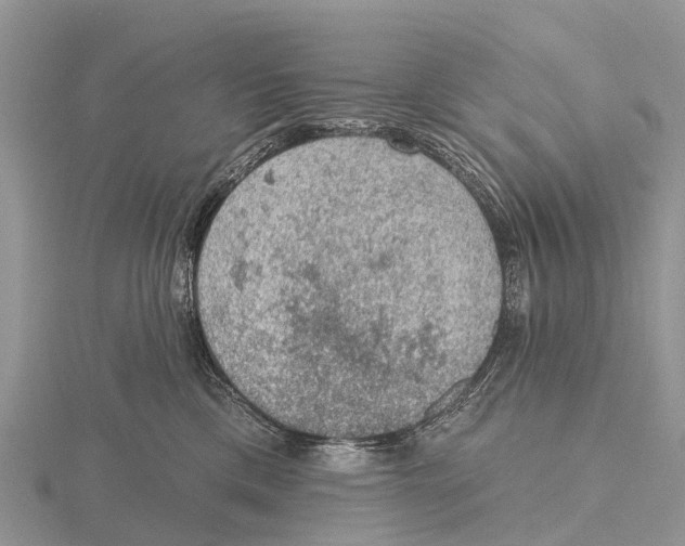 X0000115610425200912081006