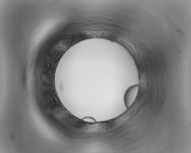 X0000115610430200912081006