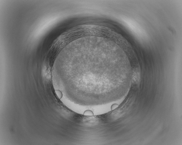 X0000115610431200912081006
